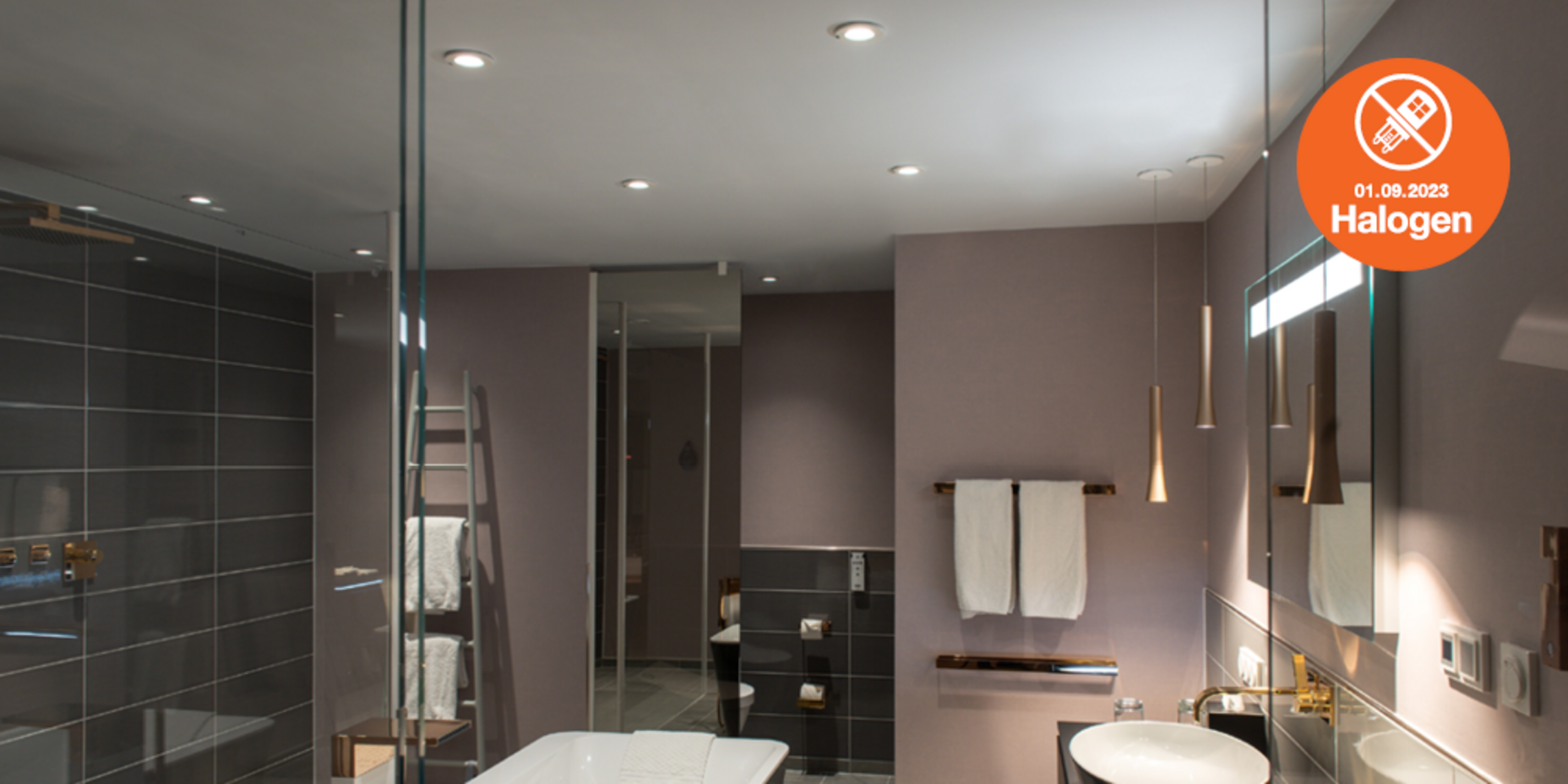 Lösungen zum Halogenlampen Verbot bei Elektro Pfisterer in Laaber