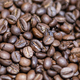 Kaffee­maschinen bei Elektro Pfisterer in Laaber